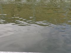 -DGE季风钓虾营地·团建·聚会