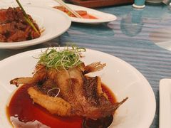 -圆苑(静安寺店)