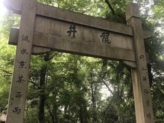 -龙井村