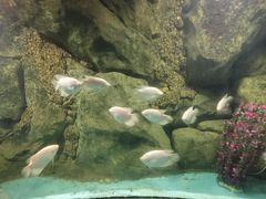 -苏州海洋馆