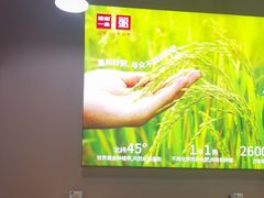 -嘉和一品粥(首经贸店)
