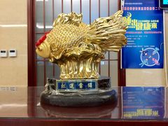 -中国中医科学院望京医院(院本部)