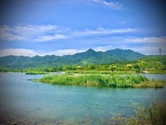 -永定河休闲森林公园