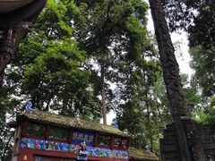 -都江堰普照寺