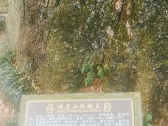 -峨眉山风景名胜区
