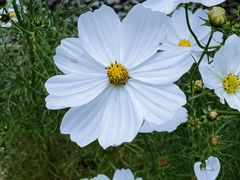 -汉长安城未央宫国家考古遗址公园