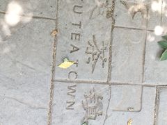 -茯茶镇