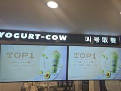 -一只酸奶牛(洪崖洞11楼店)