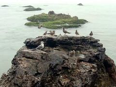 -海驴岛(荣成市)