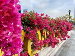 -珠江夜游西堤码头