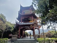 -清溪大王山森林公园