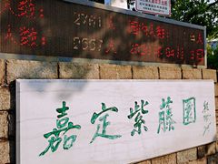 -嘉定紫藤园