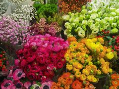 -双季花艺园艺市场(浦东店)