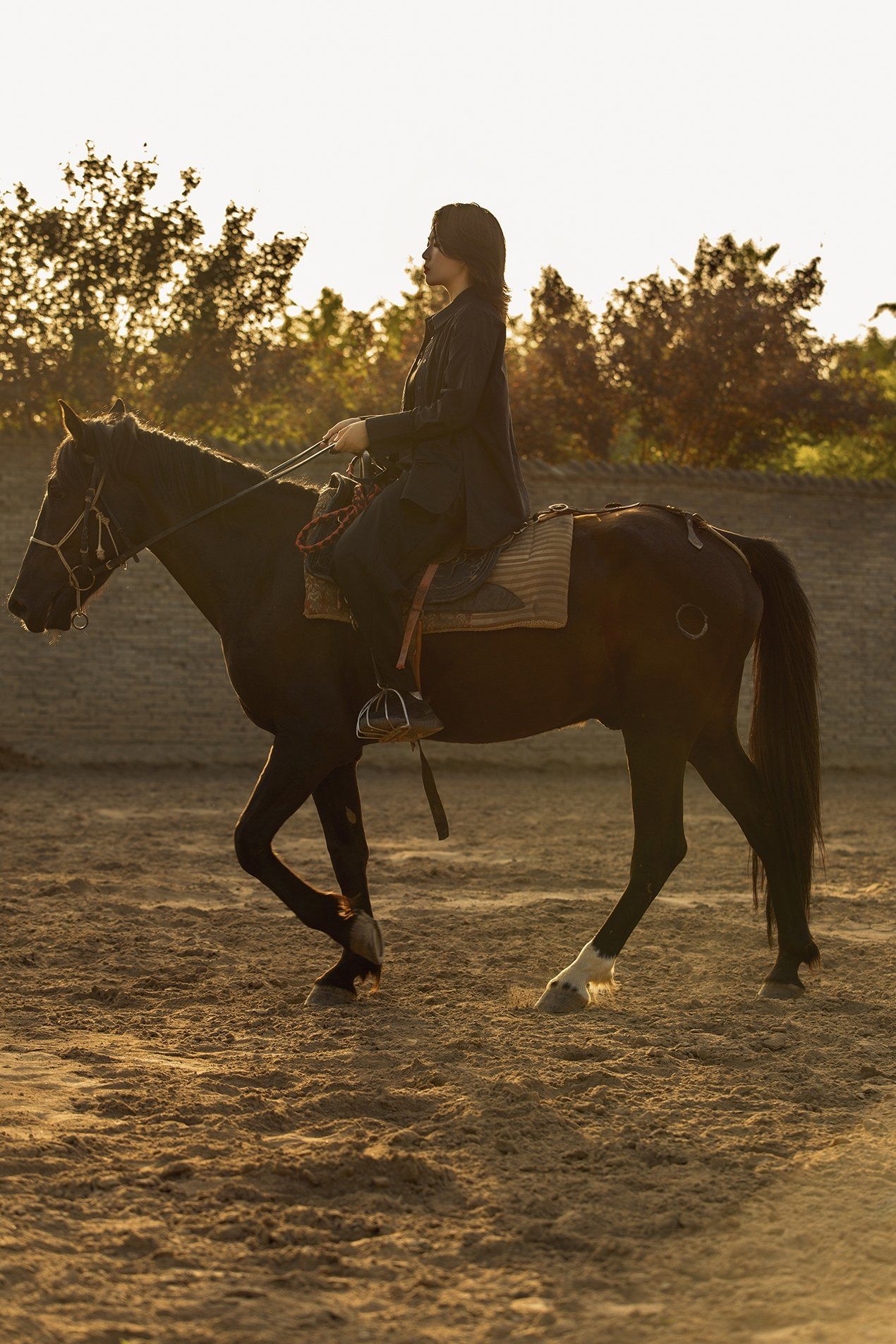 和小伙伴的骑马日常 马场跟拍