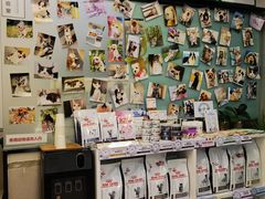 -爱妮康宠物医院·干细胞免疫细胞·肿瘤·心脏(张江店)