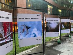 -西安电影制片厂