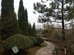 -白塘生态植物园