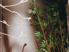 -文三酒肆自助放题(新街口友谊广场店)