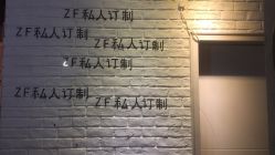 -Z.F私人订制