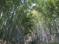 -同里国家湿地公园