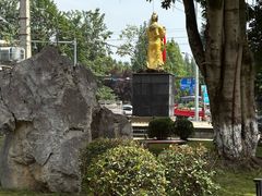 -张醪糟