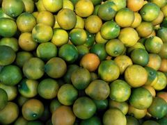 -全而廉(靖宇中路店)