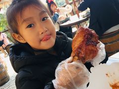 -迪士尼火鸡腿