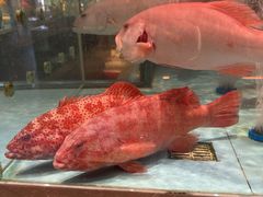-阿伟海鲜楼·福建菜(延寿店)