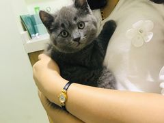 -艾贝尔宠物医院·24H转诊中心·肿瘤猫专科(江宁双龙店)