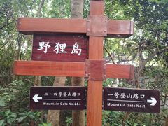 -野狸岛
