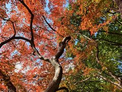 -浙江大学(玉泉校区)