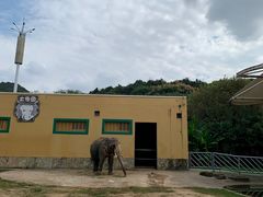 -无锡动物园·太湖欢乐园