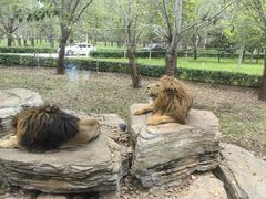 -秦皇岛野生动物园