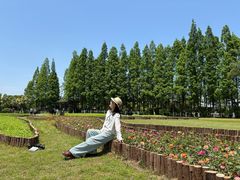 -江心屿景区