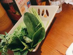 -小媳妇重庆火锅(海莲路店)