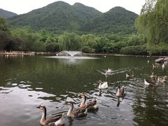 -西安秦岭野生动物园