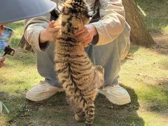 -西霞口神雕山野生动物世界