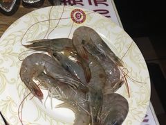 -比尔森韩式烤肉自助(绿园店)