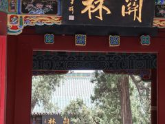 -关林