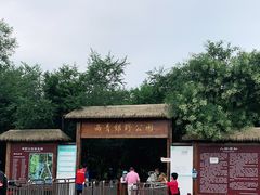 -西青郊野公园