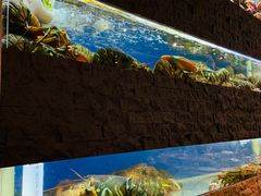 -鱼乐轩海鲜专门店