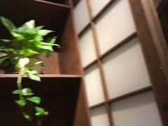 -春草居酒屋·晴子の店