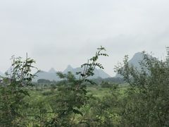 -姑婆山森林酒店