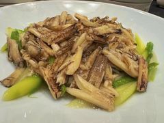 -新光酒家·河豚·海鲜·蟹料理(浦东店)