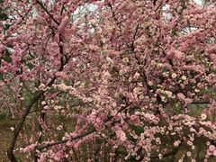 -回龙观体育文化公园