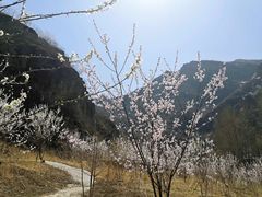 -白河堡水库