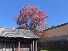 -天龙八部武侠城