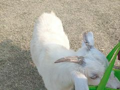 -上方山森林动物世界