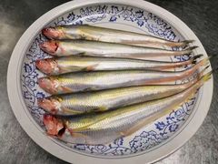 -食悦江南·淮扬菜·烤鸭(亚运村·惠新店)