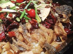 -老板恋上鱼(高新万达店)
